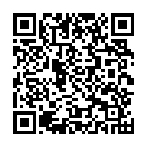 秦尚婵和古乐瞧着张潇晗的面色明显带着不可思议与惧色二维码生成