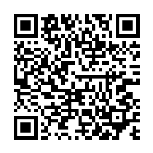 秦方可不想自己的身边跟着一个随时可能爆炸的炸弹……二维码生成