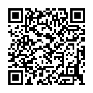 秦方还一把掀开了那简单的永兽皮缝起来的被子二维码生成