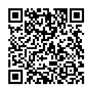 秦方需要它来震慑这个藏宝库中可能存在的危险生物二维码生成