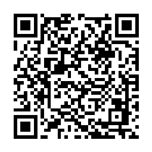秦林本以为这一代的朱应桢要么像徐维志纨绔不羁二维码生成