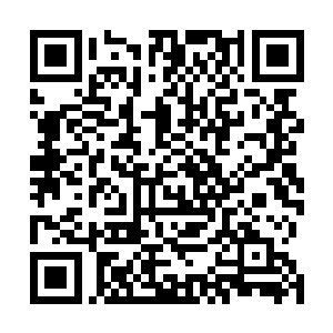 秦氏子孙一直以来有一半的疆土受到谢氏的经济势力掣肘二维码生成