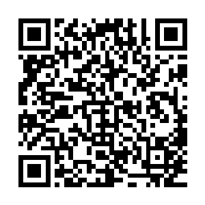 秦洛像是根本没有看到其它人或善意或敌意或诡异的眼神似的二维码生成