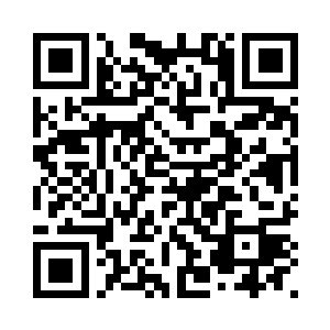 秦洛趴在后车窗玻璃向外面看过去二维码生成