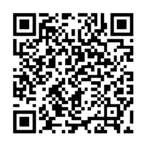 秦皇陵……不会是让我们进入墓穴吧……会不会有白毛僵尸二维码生成