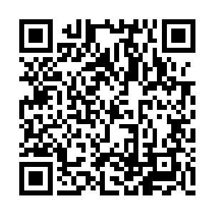 稀里哗啦撒了一泡黄黄的尿液……苏落嘴角抽抽二维码生成