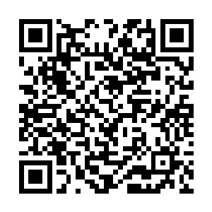 稍后技能教练与接引教练会对各位这次任务进行培训二维码生成