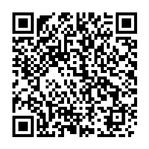 穆根和西格玛便带着塔塔林以及普林斯特一起前往帝国综合学院了二维码生成