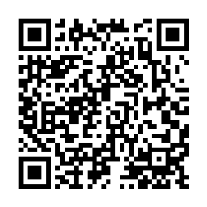穷奇和白泽家族的人刚刚从妖兽的冲击中缓过劲来二维码生成