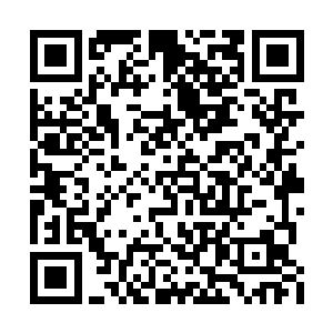 空有一身力量不敢使用……甚至本源亦丢失部分二维码生成