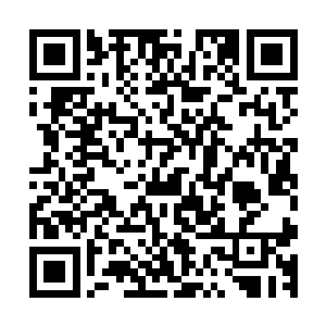 穿沙甲族长再次召集了还活着的全部长老和部落中的战士头领二维码生成