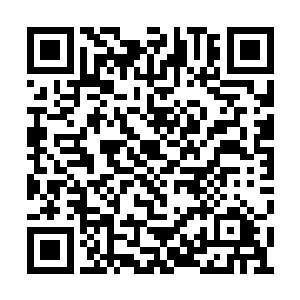 突然之间一个尸体便是从凝固体内部滑落了出来二维码生成