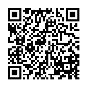 突然几条手臂粗的大蛇从卢家的废墟里面钻了出来二维码生成