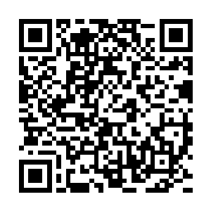 突然听到身边的伊万·布朗冲着对面的小女孩儿问出这么一句话二维码生成