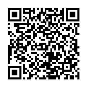 突然就见到一只双翼舒展有如乌云蔽日的巨鸟向他飞来二维码生成