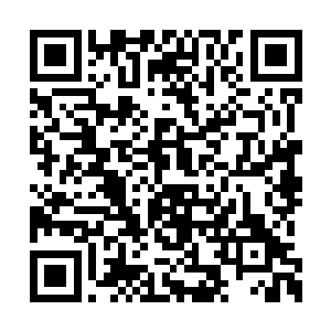 突然转头望向庭院中那棵郁郁葱葱的临窗枇杷树二维码生成