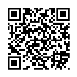 立刻将身上凡界的丹药都扔给了桃花二维码生成