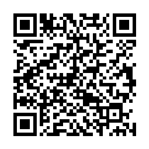 立刻明白这些年流炎跟着杨开定是得到了什么了不起的机缘二维码生成