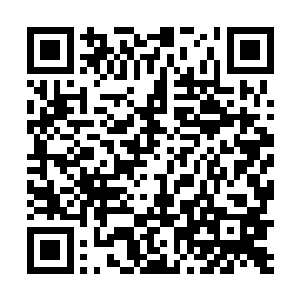 立刻看到振翅的二鸟正浮空对烈焰龙头叽叽喳喳个不停二维码生成