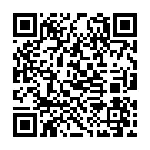 立即将目光看向不远处那具被铁链束缚的古兽尸体二维码生成