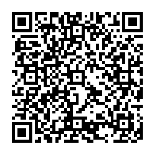 立即将神剑流影快速的插在了那棵树断裂的树干的中心位置……算是替代了之前的树干了二维码生成