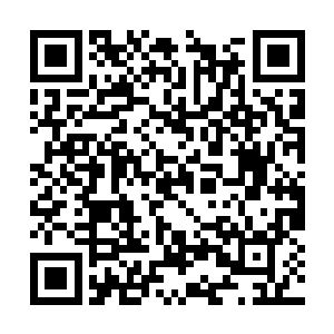 立马打电话叫那七个去画像的过来跟着一块守冷库二维码生成