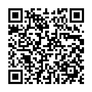 站出来就要宣布这次茅楚楚和我要参加和任家的争锋二维码生成