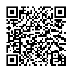 站在地上翅膀不停的切割着周围那些从天而降的天寒剑二维码生成