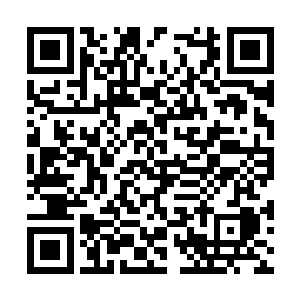 站在明面上的夏侯家族子弟虽不能说都是平庸之辈二维码生成