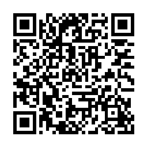 站在柳家府邸大门前一队身穿黄金甲的近卫军中二维码生成