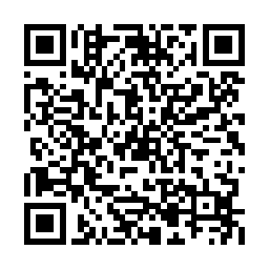 站在苏落肩膀上的小神龙一口龙息喷过去――好二维码生成