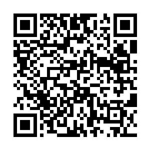 站在设计大厅里观看陈观射击的五名教官全都震惊了二维码生成