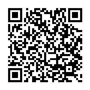 竟是丝毫不曾色变地保持这那份冷静高雅的模样二维码生成