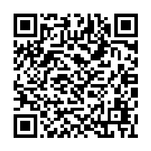 竟然在这小姑娘身上找回一丝当母亲的心情来了二维码生成