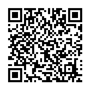 竟然派出这么一队估计是还没有过实习期的特工出来执行任务二维码生成