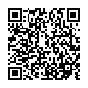 竟让我率领一支怀有怨气本就打算派上去送死的队伍二维码生成