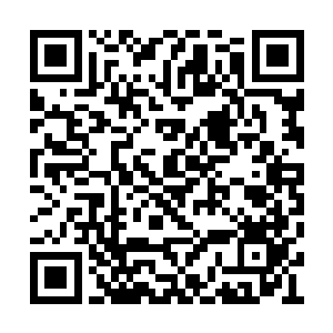 笑眯眯的看着面前这个同样英俊绝伦的英俊男人二维码生成