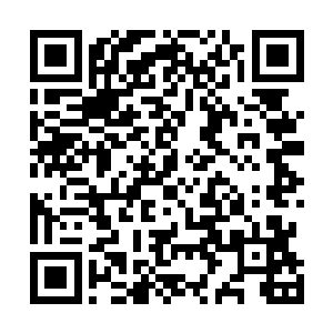 笨蛋……叫你走……你为什么不走……为什么不走啊……二维码生成