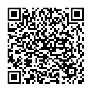 第一个计划就是用人阶中期武者使用那些制造虚影的阵法拖延星炎兽二维码生成