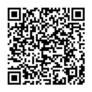 第三扇石门打开看到眼前一切的时候雷欢喜根本无法相信看到了什么二维码生成