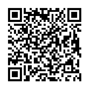 第二个道君动用世界力量确实可以击杀在场任何一个帝君二维码生成