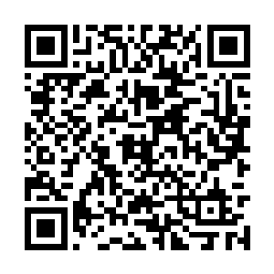 第二天上午在夏力行家中和夏力行聊了整整一上午二维码生成