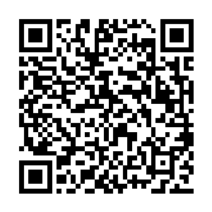 笼罩在雷虎护法身躯上的雷虎虚影瞬间崩溃起来二维码生成