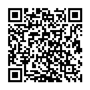 等于是公开表明海鲨一族下一任的族长就是他鲨云了二维码生成