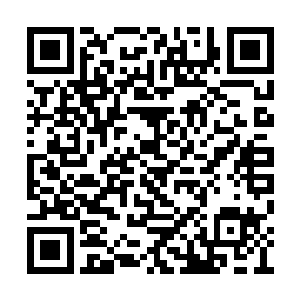 等你想要了有什么可以和本小姐等价交换的东西二维码生成