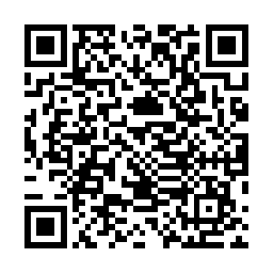 等你的修为达到了地仙之后后续的功法我会继续传给你的二维码生成
