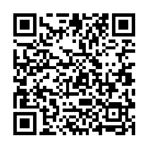 等到了晚上一时候我们一起去和你们一起看露天电影二维码生成