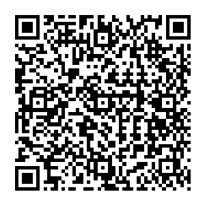 等到王姨推着车过来示意我把孩子放进车里要推到安静的休息室让孩子睡时我居然有些舍不得二维码生成