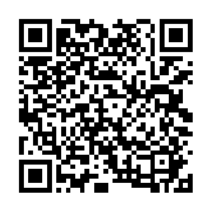 等待着猎海联盟和四大宗派派出的调查小队的到来二维码生成