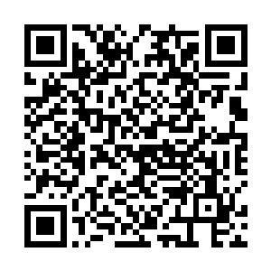 等我将这个计划实施完成后便会亲自去他们的府上致谢二维码生成